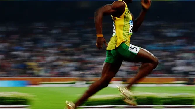 usain bolt cachorro