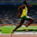 usain bolt cachorro