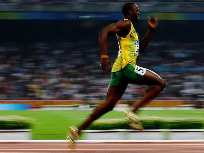 usain bolt cachorro