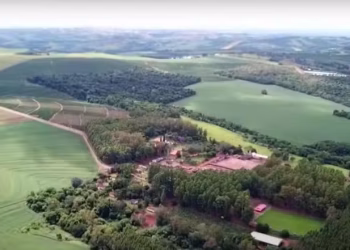 fazenda ratinho
