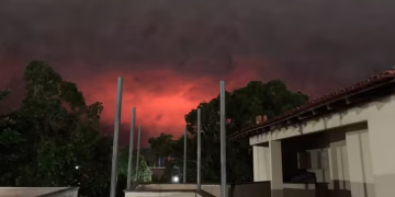 Foto: João Alves