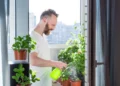 horta apartamento plantar
