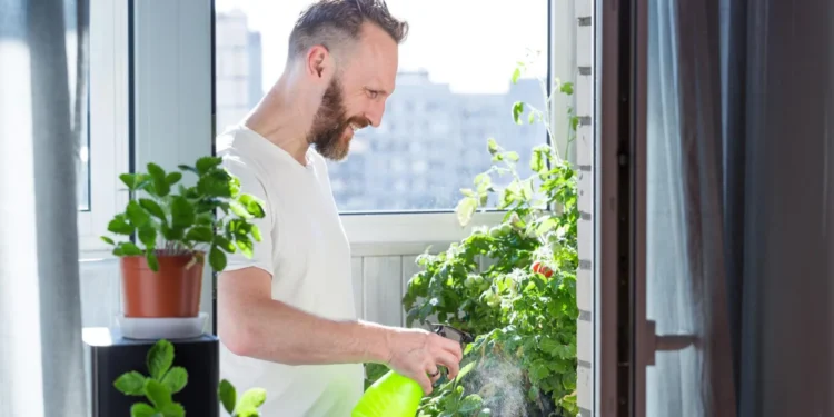 horta apartamento plantar