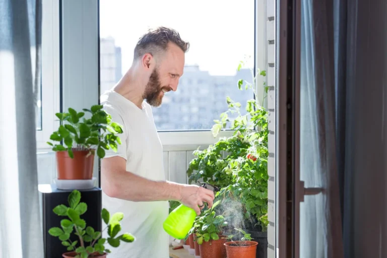 horta apartamento plantar