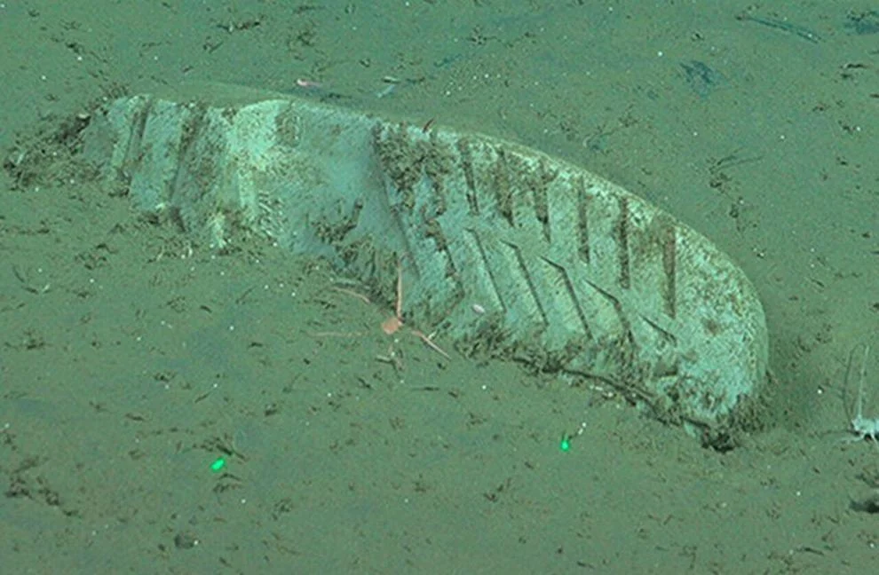 bota mar
