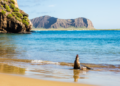 ilha galapagos