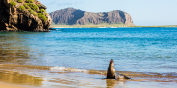 ilha galapagos