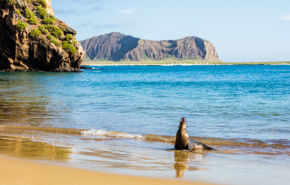 ilha galapagos