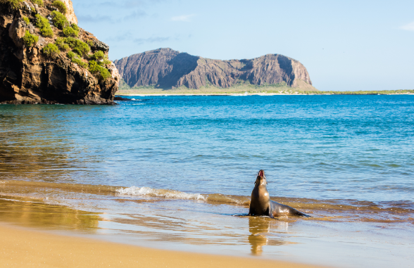 ilha galapagos