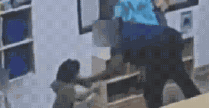 video creche processo