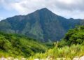 caribe ilha