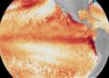 el niño