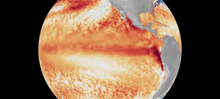 el niño
