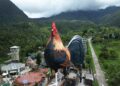 Empresário começa resort terreno eletricidade