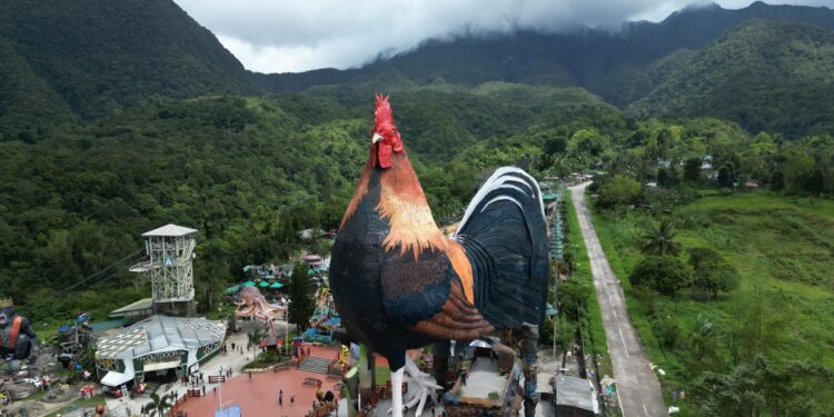 Empresário começa resort terreno eletricidade