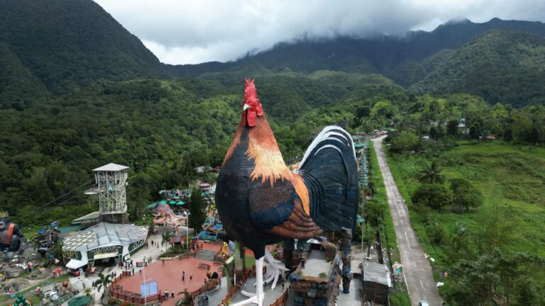 Empresário começa resort terreno eletricidade