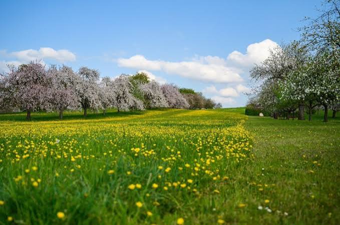 primavera clima