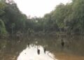 lagoa pomerode