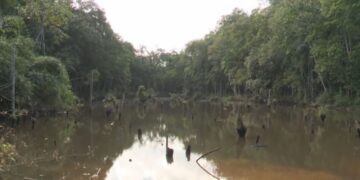 lagoa pomerode
