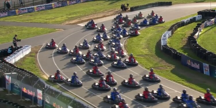 red bull max erstappen