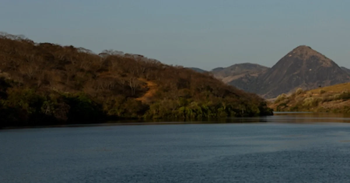 Restauração ambiental impulsiona desenvolvimento regional em Minas Gerais e no Espírito Santo