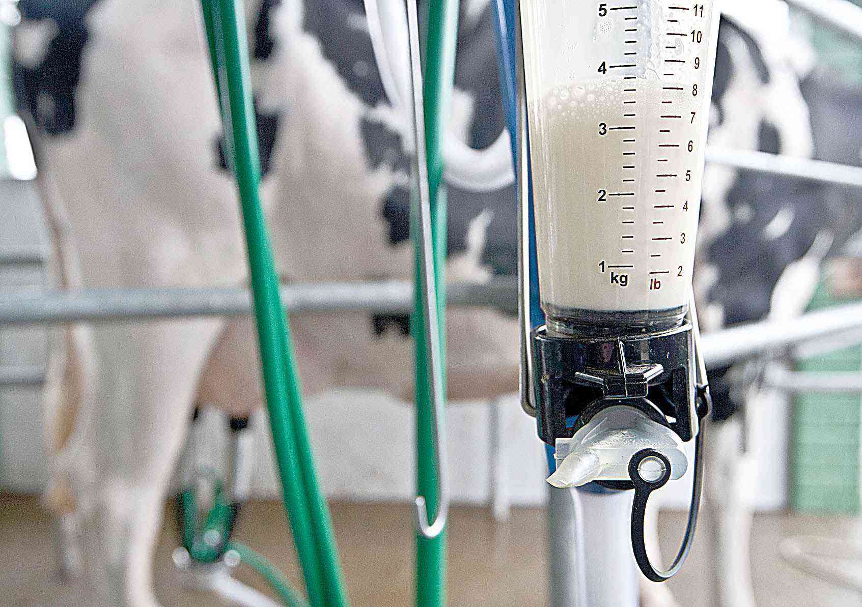 Preço pago ao produtor sobe 56,31% no ano