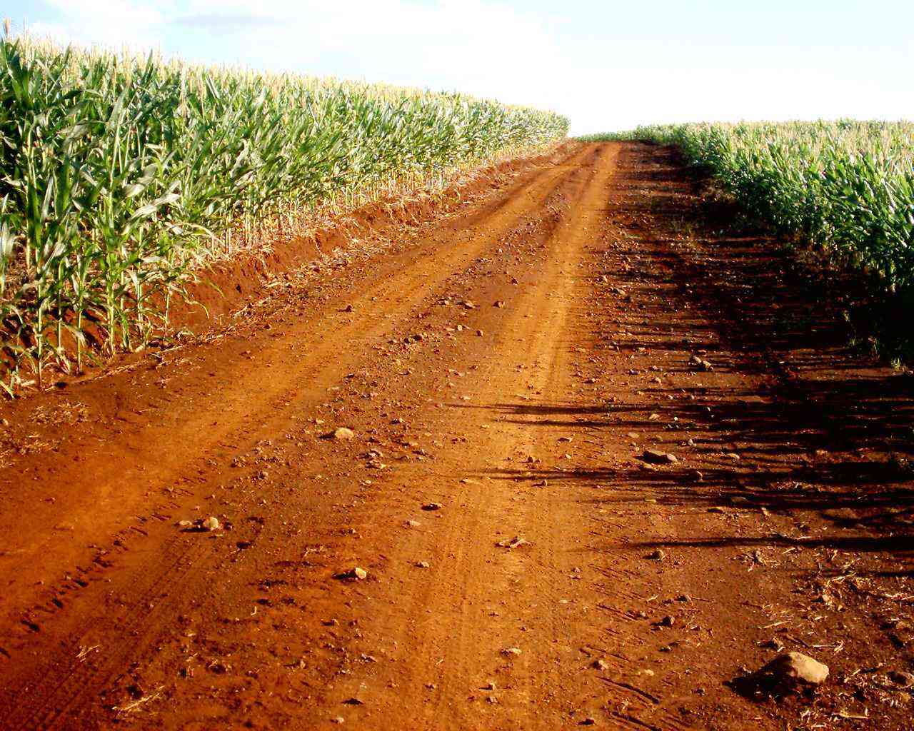 Para Embrapa, homem do campo é o que mais preserva