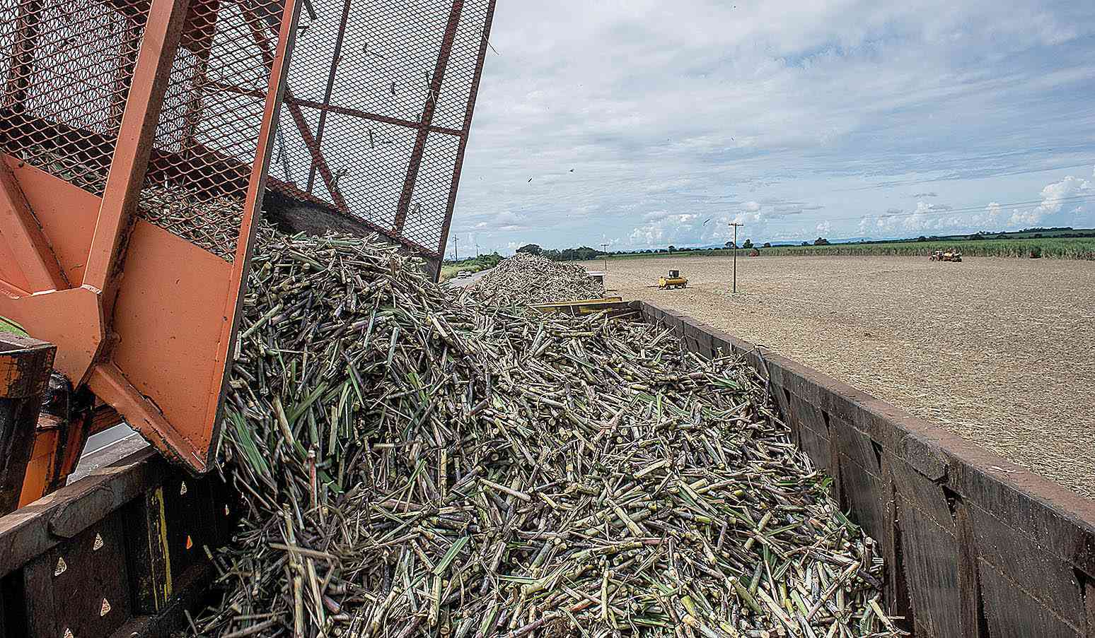 Governo quer fomentar usinas de biomassa