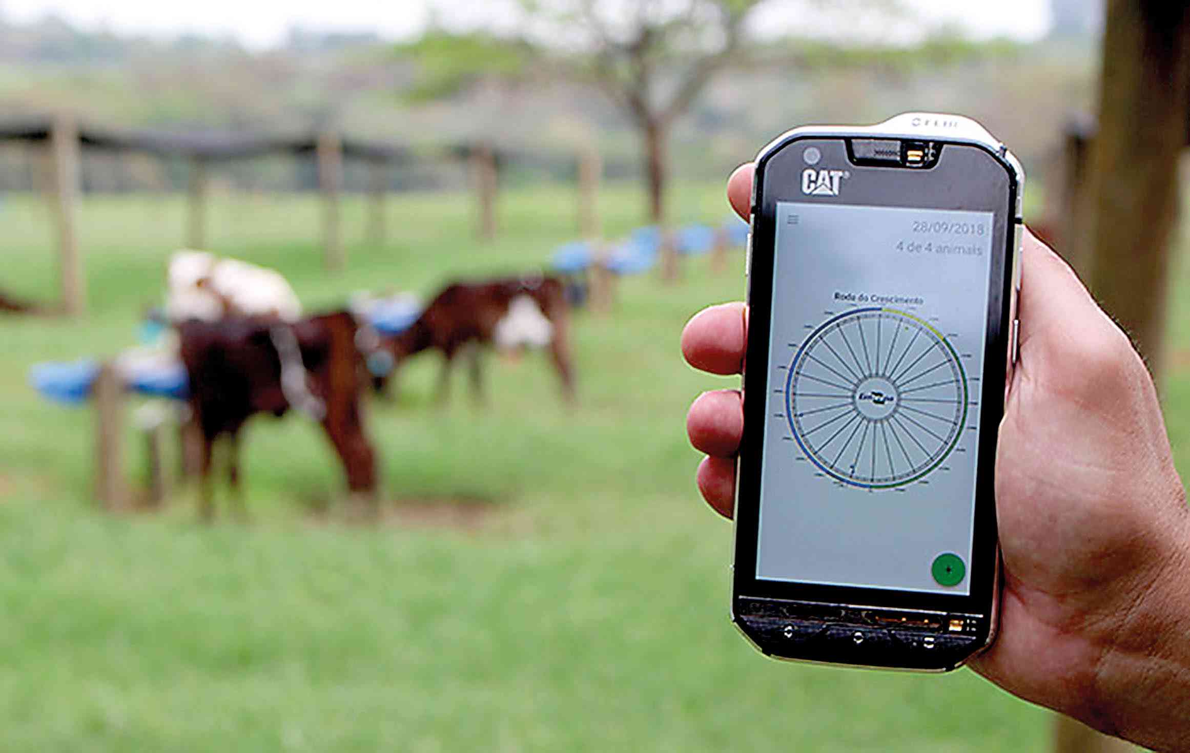 Aplicativo monitora crescimento e reprodução