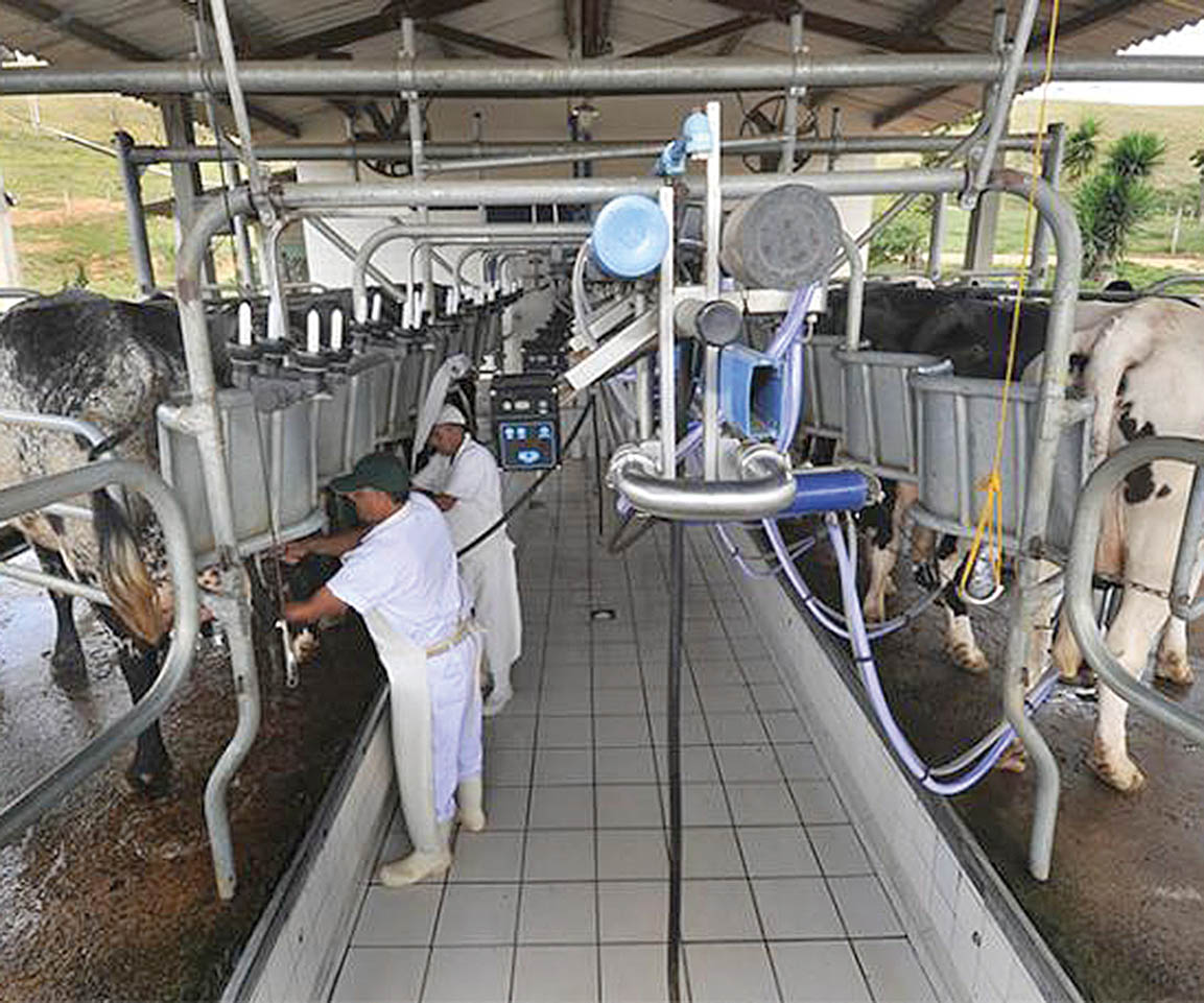 Ideas for Milk impulsiona inovação em cadeia