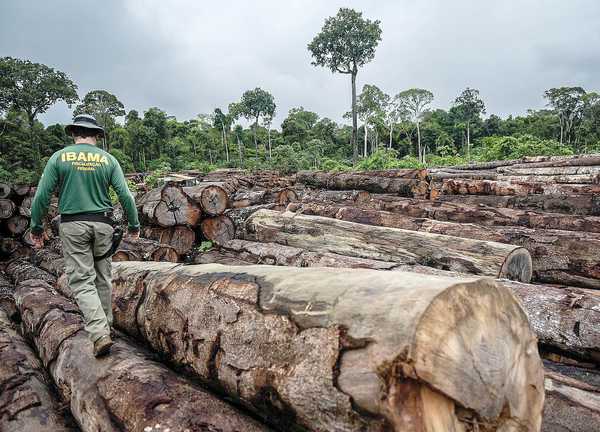 Mudanças na legislação ambiental trazidas pelo coronavírus