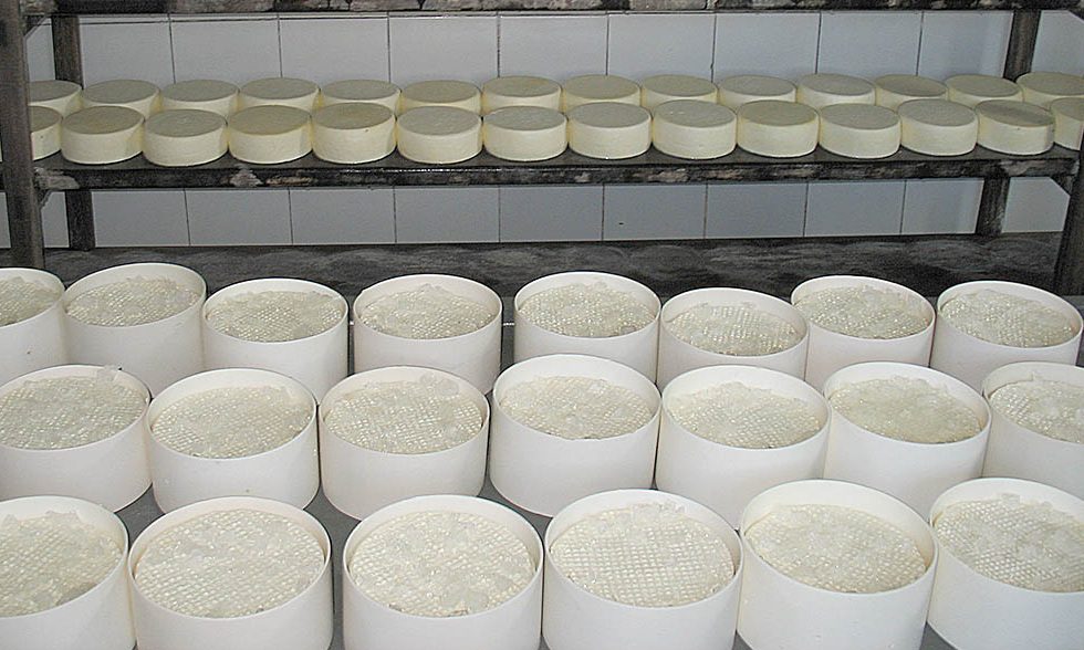 Lei do queijo artesanal terá mudanças