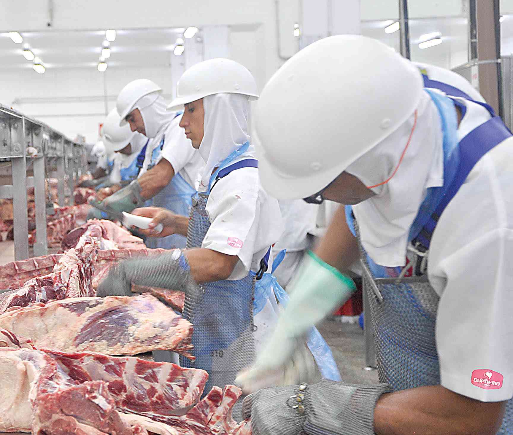 Supremo quer alcançar o faturamento de R$ 1 bilhão