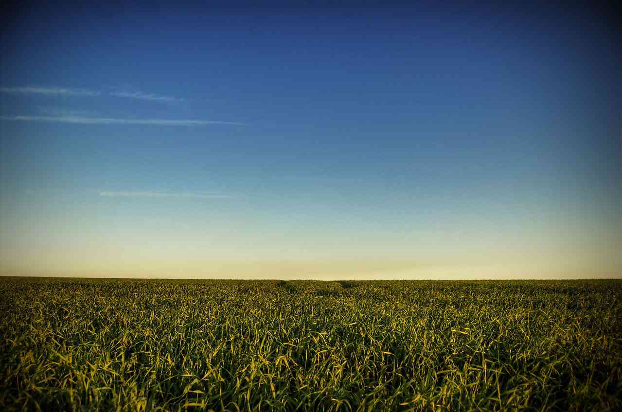 Por uma política de Estado para o agro