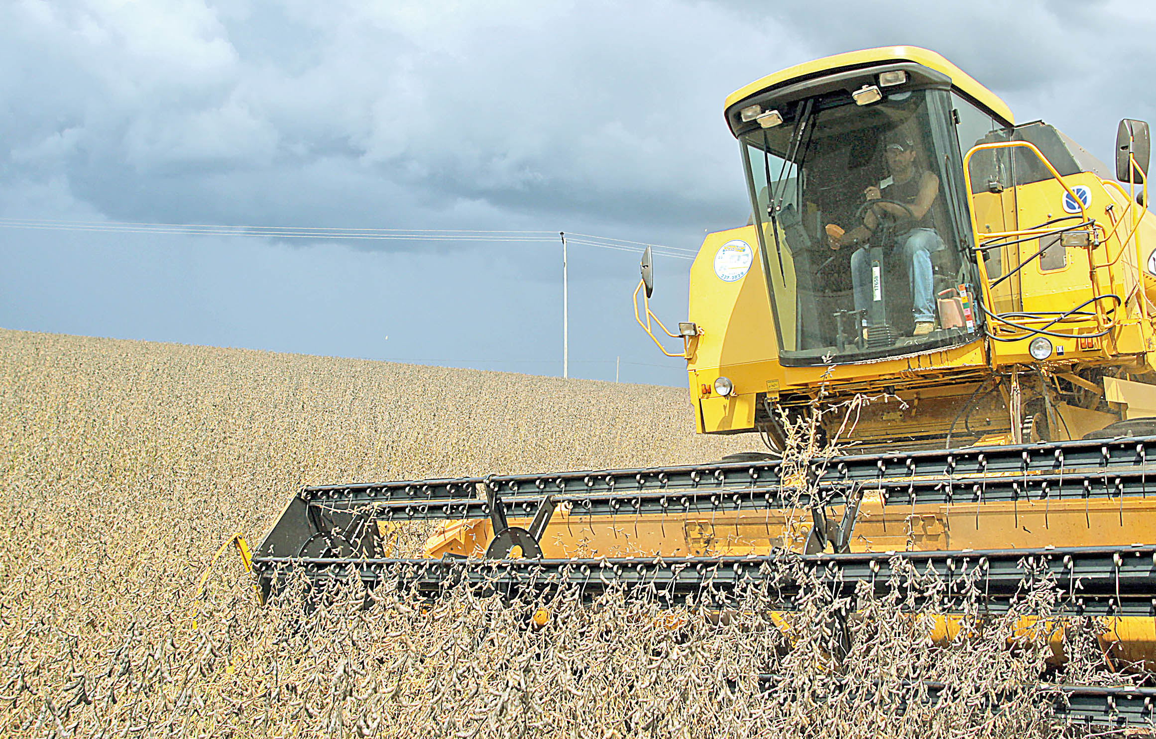 AgRural estima uma produção recorde de 120,3 ,milhões de toneladas de soja na atual safra - Foto: Jonas Oliveira