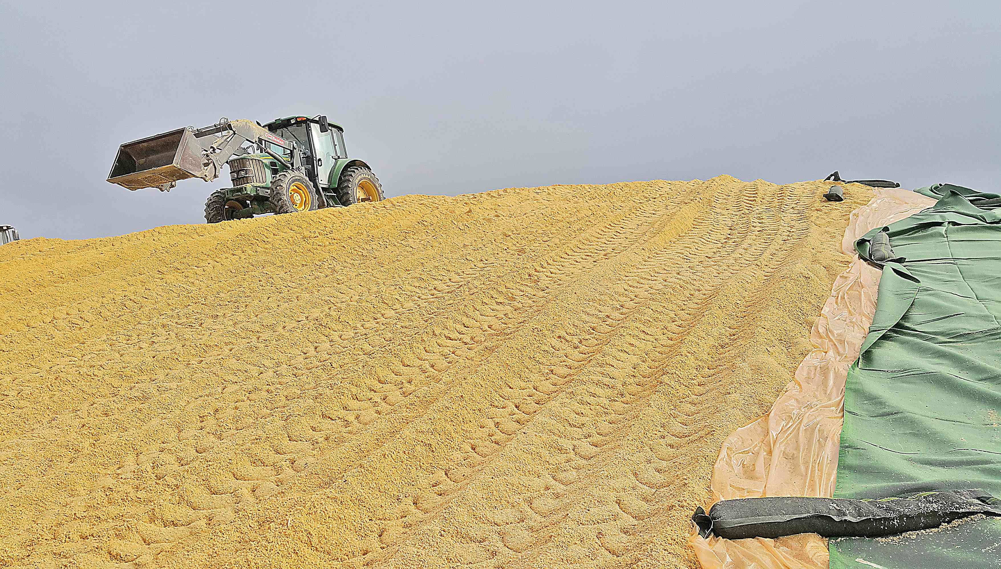 Os três problemas da agricultura brasileira