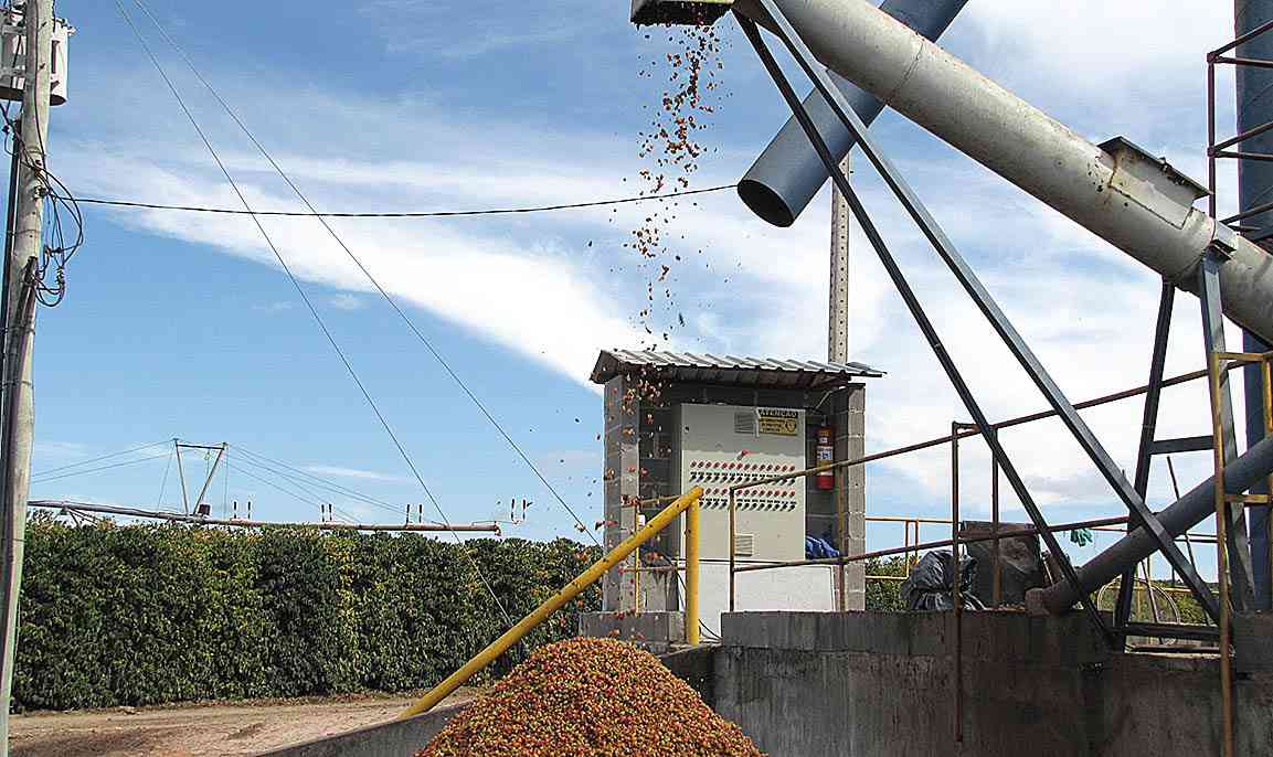 Exportações em Minas recuam puxadas por minério e café