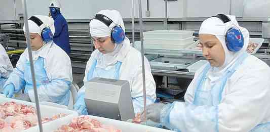 mulheres fazem separação de carne de frango