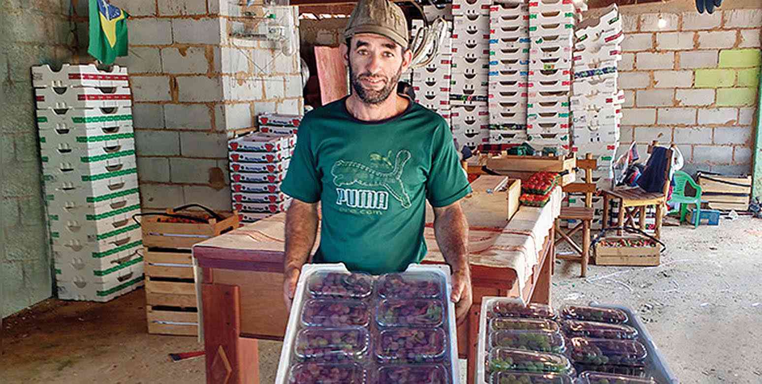 Fruticultura avança em Minas Gerais
