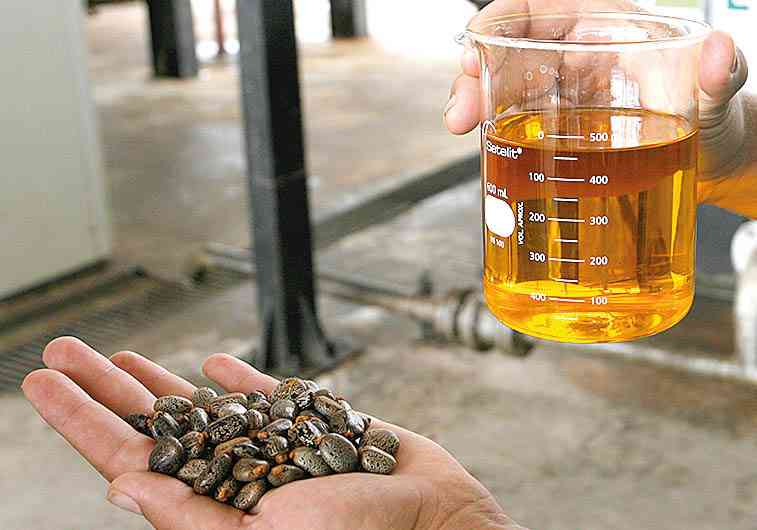 Anfavea é contra alta do teor de biodiesel para 15%