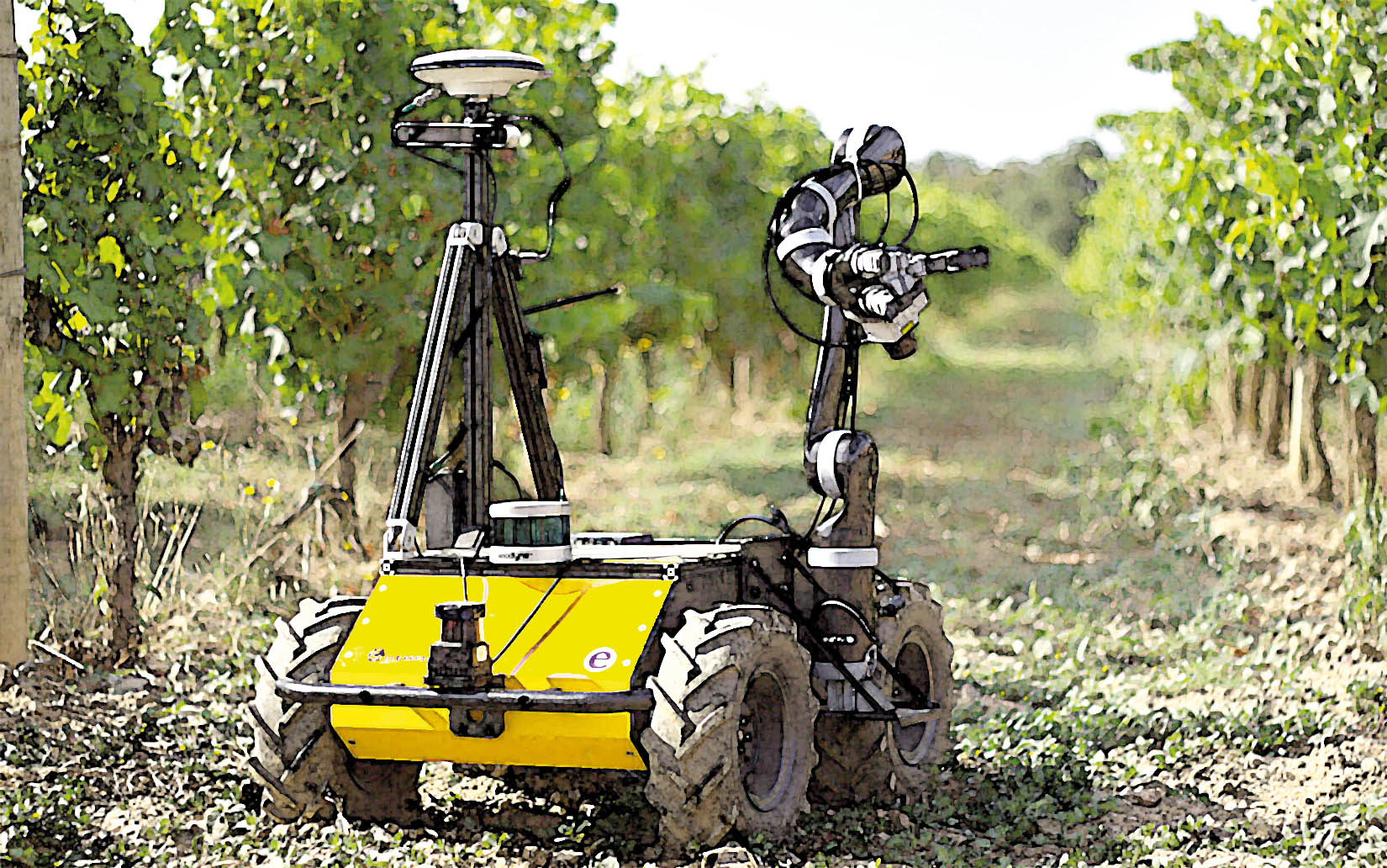 Robôs no campo