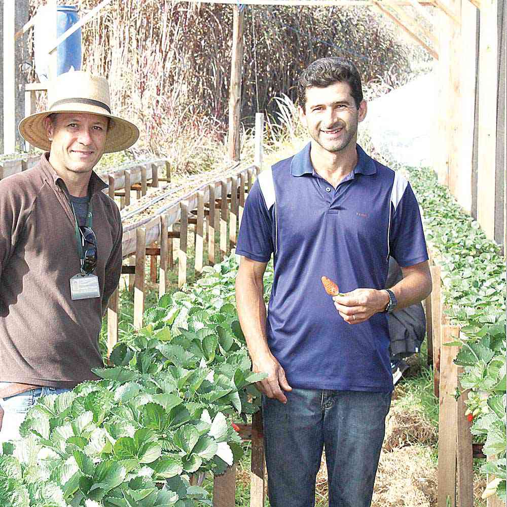 Técnico da Emater e o produtor Jorivaldo (camisa azul) - Créditos: Divulgação/Emater-MG