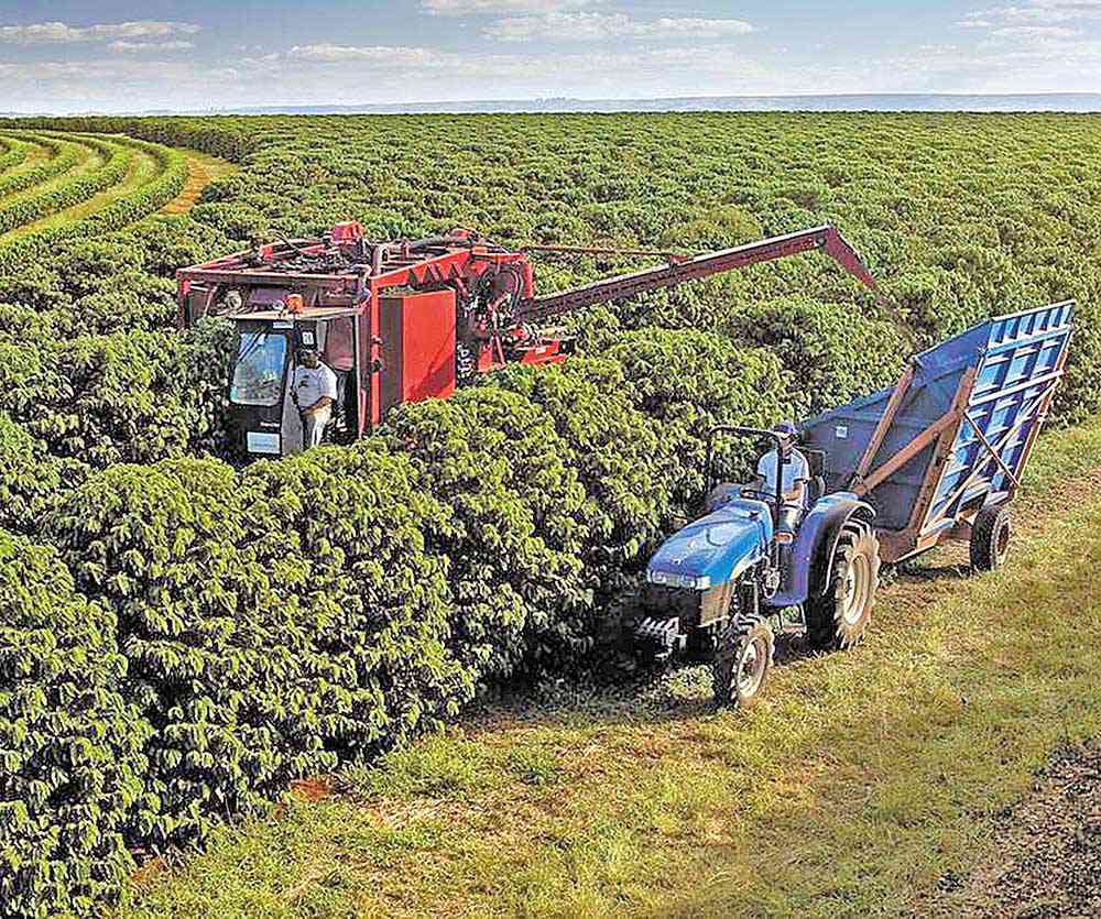 Programa nacional deve estimular o uso de recursos biológicos na agropecuária