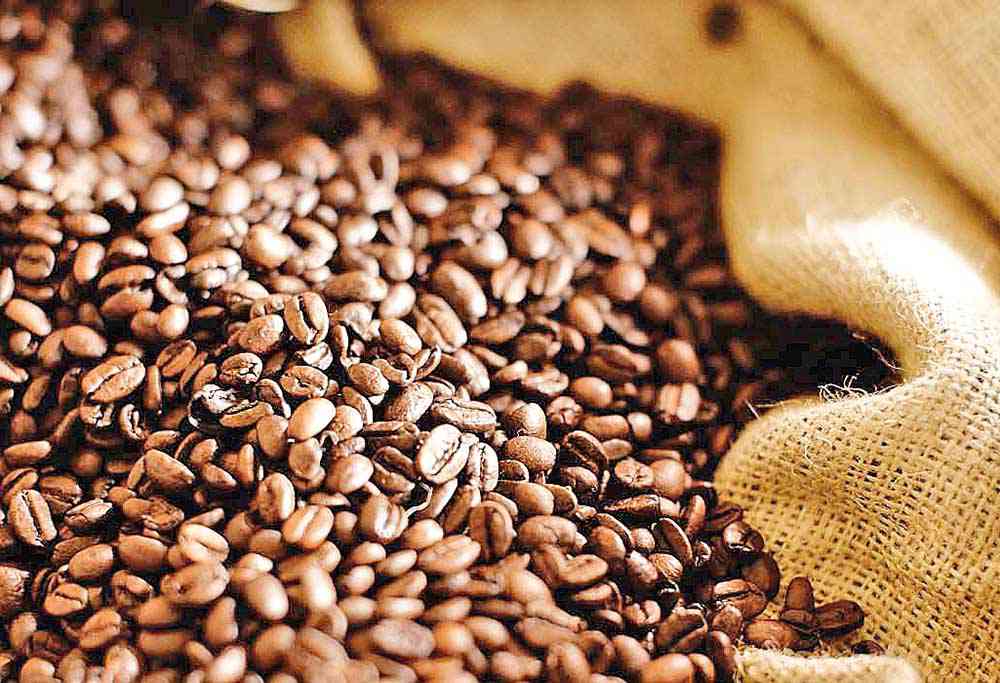 Café deve ter safra 10% menor em 2019