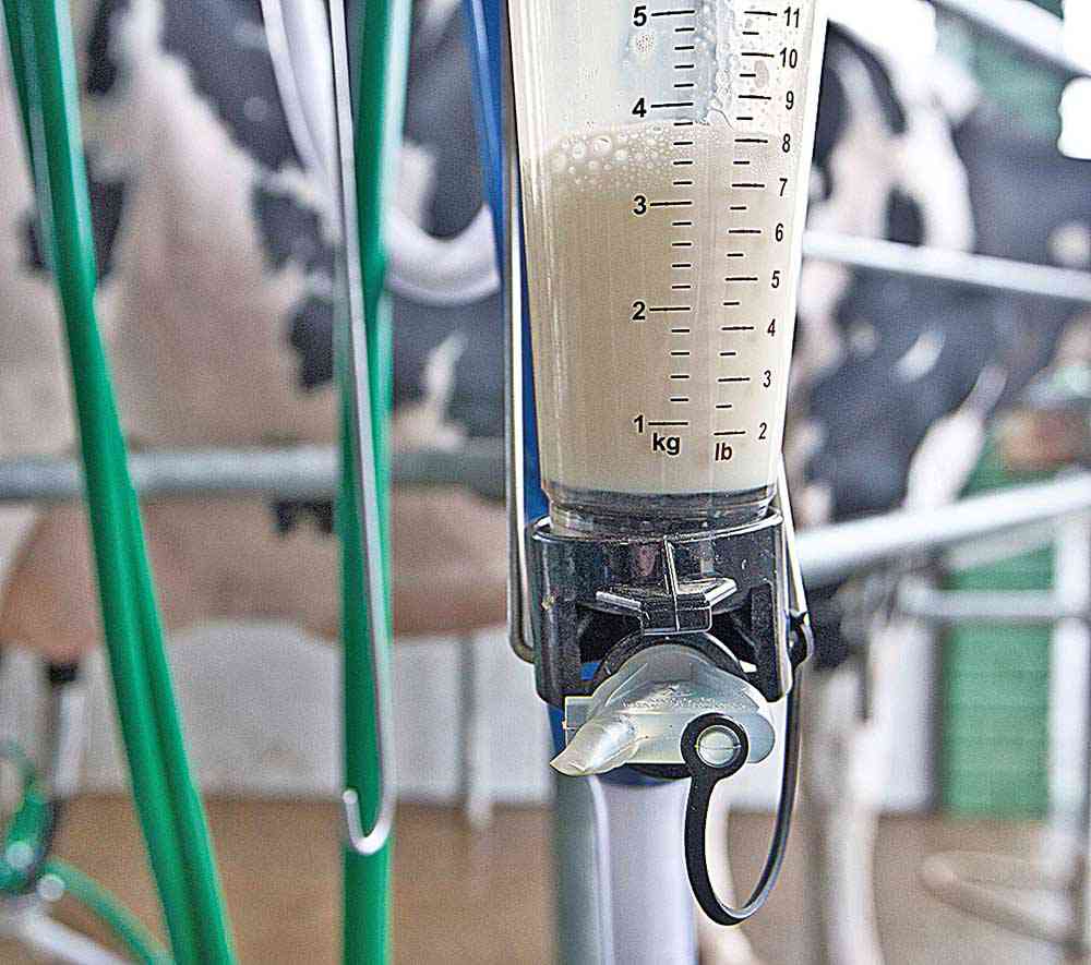 Preço do leite pago ao produtor registra alta de 5% em Minas