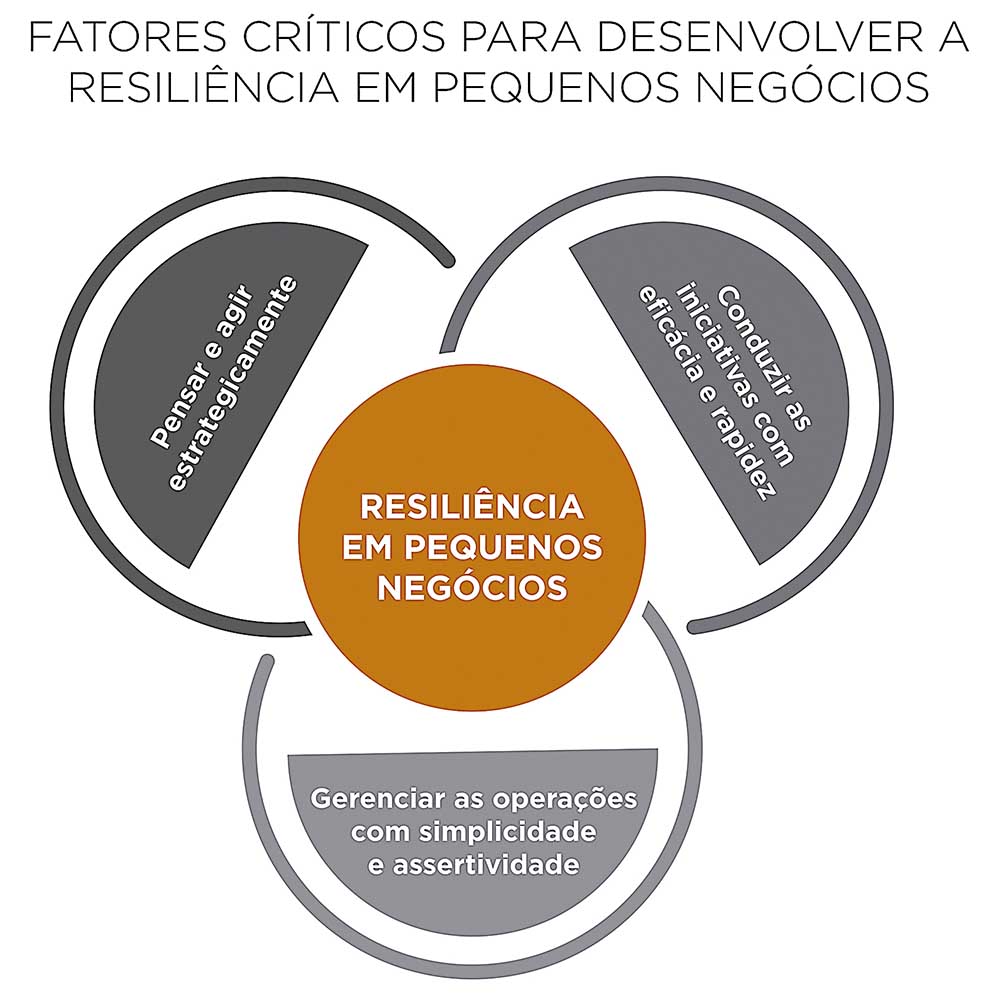 Agilidade estratégica e resiliência em pequenos negócios