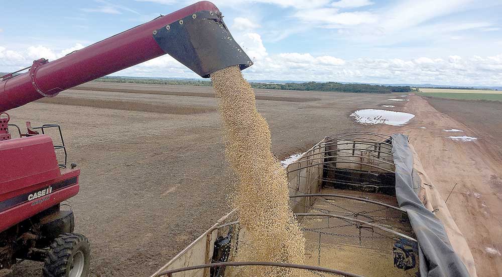 Valor da produção agropecuária mineira pode recuar 2,24% em 2019
