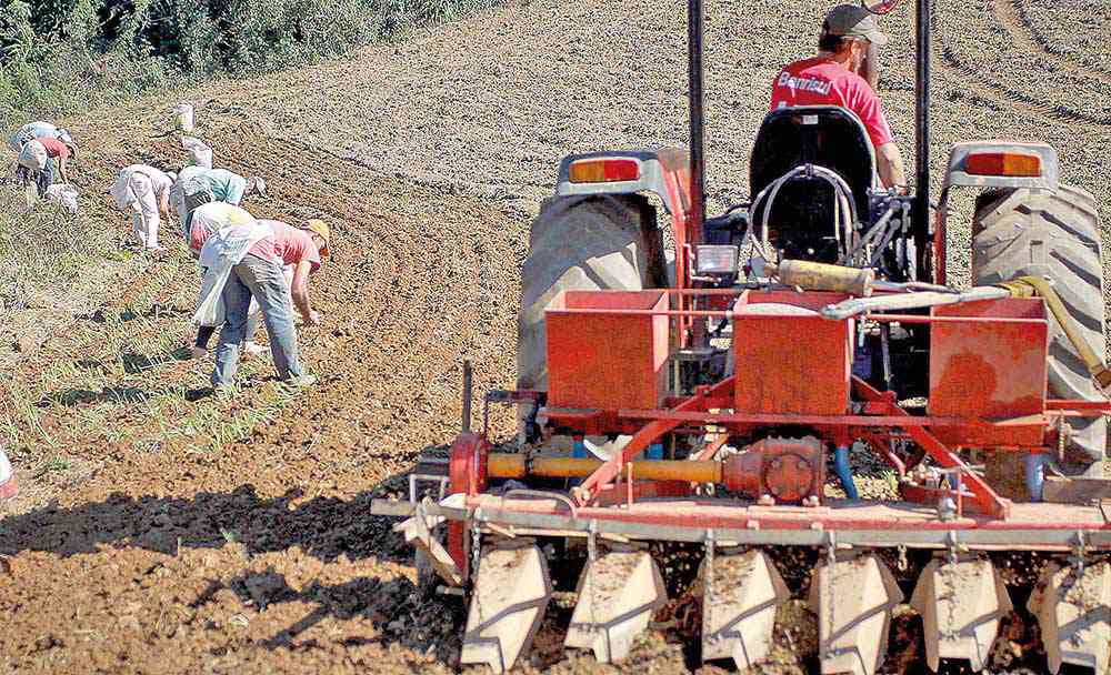Transformar riquezas naturais em progresso