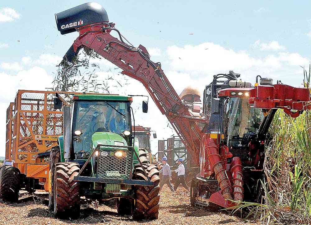 Produção mineira de açúcar pode subir 8,1%