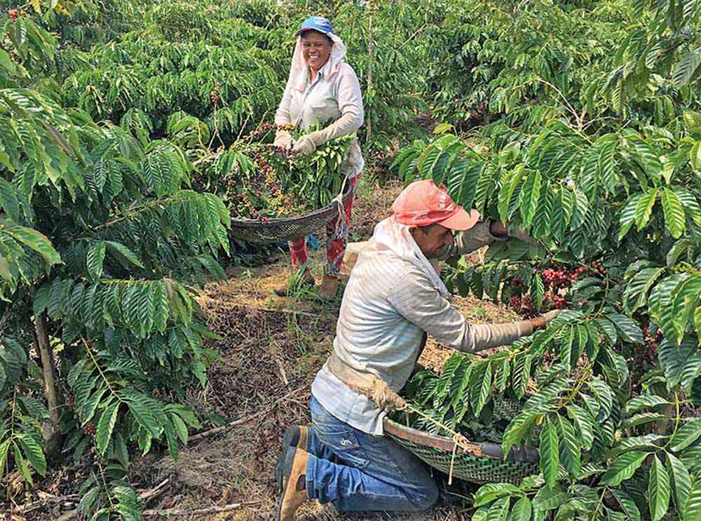MERSCOSUL-UE: redução de tarifas deve impulsionar o agronegócio